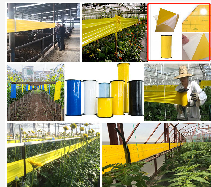 Double Sided Glue And Release Paper Application Insect Glue Trap Making Machine